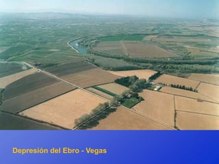 Depresión del Ebro - Vegas
 