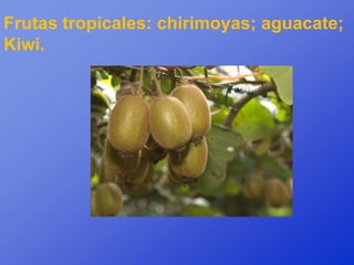 Frutas tropicales: chirimoyas; aguacate;
Kiwi.
 