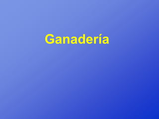 Ganadería
 