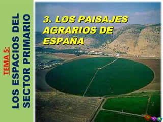 3. LOS PAISAJES
AGRARIOS DE ESPAÑA3. LOS PAISAJES3. LOS PAISAJES
AGRARIOS DEAGRARIOS DE
ESPAÑAESPAÑA
 