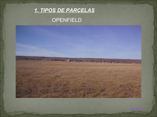 OPENFIELD 1. TIPOS DE PARCELAS Weblasisla 