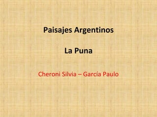 Paisajes Argentinos
La Puna
Cheroni Silvia – García Paulo
 