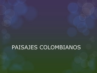 PAISAJES COLOMBIANOS 
 