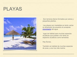 PLAYAS
Son terrenos llanos formados por arena y
pequeñas piedras.
Las playas son inestables en tanto varían
su dimensión de acuerdo al constante
movimiento del agua
lugar de hábitat para muchas especies
acuáticas que pueden vivir tanto en
espacios acuáticos como terrestres
Hay Dunas,
También es habitad de muchas especies
de aves y una rica vida marina
 