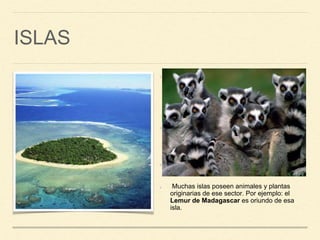 ISLAS
Una isla es una masa de tierra
completamente rodeada por agua y de
menor tamaño que un continente. Cuando
varias islas están situadas de forma muy
cercana, el conjunto recibe el nombre de
archipiélago
Las más pequeñas son los islotes, que por
lo general están desprovistos de vida
humana pero no de plantas y otros
animales.
Deben estar separadas de un continente
por 2 kilómetros de distancia o más.
Muchas islas poseen animales y plantas
originarias de ese sector. Por ejemplo: el
Lemur de Madagascar es oriundo de esa
isla.
 