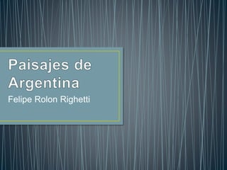 Felipe Rolon Righetti
 