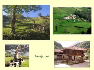 Paisaje rural
 