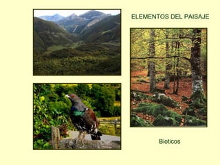 ELEMENTOS DEL PAISAJE




       Bioticos
 