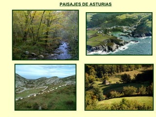PAISAJES DE ASTURIAS
 