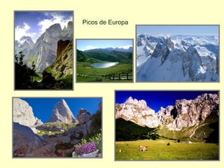 Picos de Europa
 