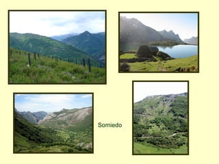 Somiedo
 
