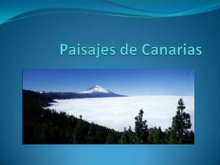 Paisajes de Canarias 