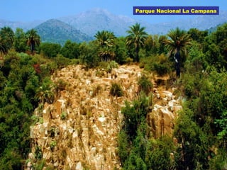Parque Nacional La Campana
 