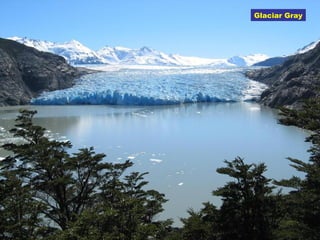 Glaciar Gray
 