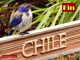 Fin
ecorlopez@gmail.com
 