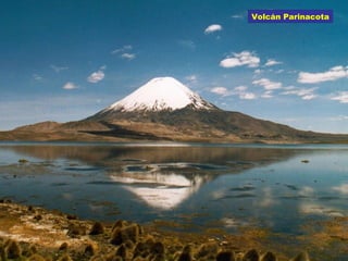 Volcán Parinacota
 