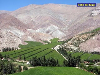 Valle del Elqui
 