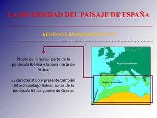 REGIONES BIODEMOGRÁFICAS
LA DIVERSIDAD DEL PAISAJE DE ESPAÑA
Propio de la mayor parte de la
península Ibérica y la zona no...