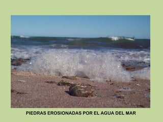 PIEDRAS EROSIONADAS POR EL AGUA DEL MAR 
