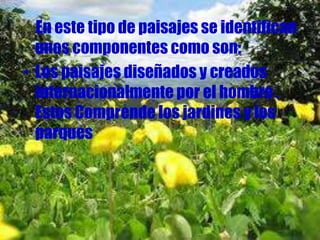 En este tipo de paisajes se identifican unos componentes como son: <br />Los paisajes diseñados y creados internacionalmen...