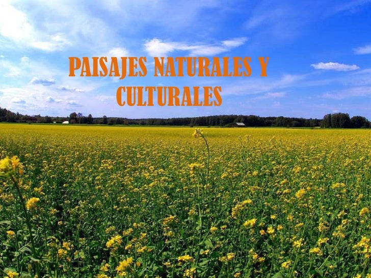 Imagenes De Paisajes Naturales Y Culturales | paisajes naturales y culturales Imagenes De Paisajes Naturales Y Culturales | paisajes naturales y culturales