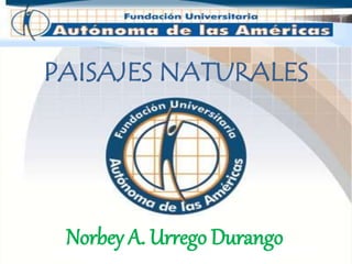 PAISAJES NATURALES 
Norbey A. Urrego Durango 
 