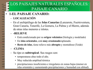 • 1-EL PAISAJE CANARIO:
– LOCALIZACIÓN
– En el archipiélago de las Islas Canarias (Lanzarote, Fuerteventura,
Gran Canaria, Tenerife, La Gomera, La Palma y el Hierro, además
de otras islas menores e islotes.
– -RELIEVE
• Está condicionado por su origen volcánico (litología y modelado)
• En islas orientales, está muy erosionado/aplanado.
• Resto de islas, tiene relieve más abrupto y montañoso (Teide)
– -CLIMA
– Su tipo es subtropical. Sus rasgos son:
• temperaturas altas todo el año.
• Muy reducida amplitud térmica
• precipitaciones insuficientes e irregulares en zonas bajas (menor en
islas orientales y aumentando precipitaciones y humedad con altitud).
LOS PAISAJES NATURALES ESPAÑOLES:
PAISAJE CANARIO
 