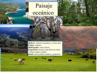 Relieve: carácter montañoso y costas altas
Clima: oceánico
Hidrografía: cuenca Norte
Vegetación: bosque caducifolio de robles
y hayas, landa y prados
Suelo: tierras pardas (rankers y podzoles)
Paisaje
oceánico
 