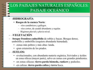 LOS PAISAJES NATURALES ESPAÑOLES:
PAISAJE OCEÁNICO
– -HIDROGRAFÍA
• Rasgos de la cuenca Norte:
– -ríos cantábricos y gallegos.
– -ríos cortos, de caudal abundante y regular.
– Régimen pluvial y pluvio-nival.
– -VEGETACIÓN
– -bosque frondoso caducifolio de robles y hayas. Bosque denso,
umbrófilo y ombrófilo (requiere abundante humedad).
• -zonas más pobres y más altas: landa.
• -gran extensión de los prados.
– -SUELOS:
• -evolucionados, con abundante materia orgánica, lixiviados y ácidos
en zona silícea (mayor parte), salvo en zonas con grandes pendientes.
• -en zonas silíceas: tierra parda húmeda, rankers y podsoles.
• -en calizas: tierra parda caliza y terra fusca.
 