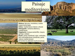 Relieve: llanuras, montañas y costas
mayormente bajas
Clima: mediterráneo (interior y litoral)
Hidrografía: vertiente atlántica y
mediterránea
Vegetación: bosque esclerófilo, maquis,
garriga y estepa
Suelo: pardo meridional, rojos. vertisoles,
gris submediterráneo (rendzinas, pardo
calizos mediterráneos)
El hombre ha alterado mucho el paisaje.
Paisaje
mediterráneo
 