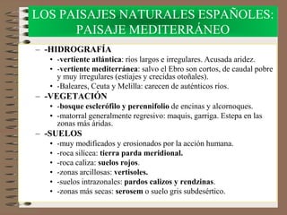 LOS PAISAJES NATURALES ESPAÑOLES:
PAISAJE MEDITERRÁNEO
– -HIDROGRAFÍA
• -vertiente atlántica: ríos largos e irregulares. Acusada aridez.
• -vertiente mediterránea: salvo el Ebro son cortos, de caudal pobre
y muy irregulares (estiajes y crecidas otoñales).
• -Baleares, Ceuta y Melilla: carecen de auténticos ríos.
– -VEGETACIÓN
• -bosque esclerófilo y perennifolio de encinas y alcornoques.
• -matorral generalmente regresivo: maquis, garriga. Estepa en las
zonas más áridas.
– -SUELOS
• -muy modificados y erosionados por la acción humana.
• -roca silícea: tierra parda meridional.
• -roca caliza: suelos rojos.
• -zonas arcillosas: vertisoles.
• -suelos intrazonales: pardos calizos y rendzinas.
• -zonas más secas: serosem o suelo gris subdesértico.
 