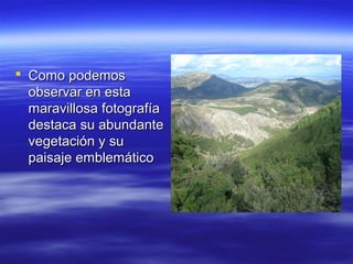  Como podemos
  observar en esta
  maravillosa fotografía
  destaca su abundante
  vegetación y su
  paisaje emblemático
 