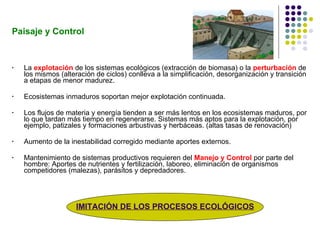 Paisaje y Control <ul><li>La  explotación  de los sistemas ecológicos (extracción de biomasa) o la  perturbación  de los m...