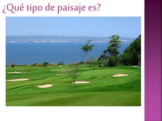 ¿Qué tipo de paisaje es?
 
