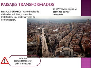 PAISAJES TRANSFORMADOS
Se diferencian según la
actividad que se
desarrolle.
PAISAJES URBANOS: hay edificios de
viviendas, oficinas, comercios,
instalaciones deportivas y vías de
comunicación.
Alteran
profundamente el
paisaje natural
 