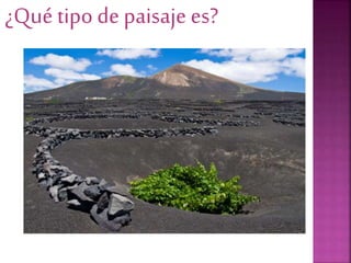 ¿Qué tipo de paisaje es?
 