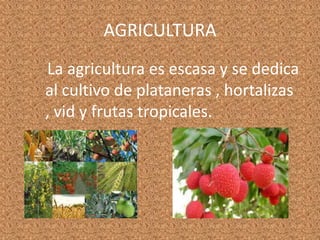 AGRICULTURA
La agricultura es escasa y se dedica
al cultivo de plataneras , hortalizas
, vid y frutas tropicales.
 