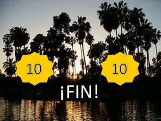 ¡FIN!