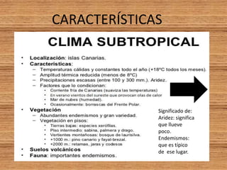CARACTERÍSTICAS
Significado de:
Aridez: significa
que llueve
poco.
Endemismos:
que es típico
de ese lugar.
