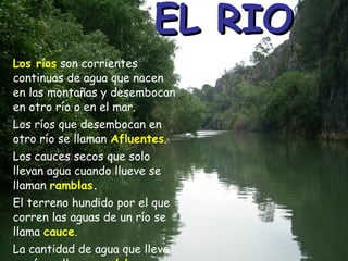 EL RIO Los ríos  son corrientes continuas de agua que nacen en las montañas y desembocan en otro río o en el mar. Los ríos que desembocan en otro río se llaman  Afluentes . Los cauces secos que solo llevan agua cuando llueve se llaman  ramblas . El terreno hundido por el que corren las aguas de un río se llama  cauce . La cantidad de agua que lleva un río se llama  caudal. 