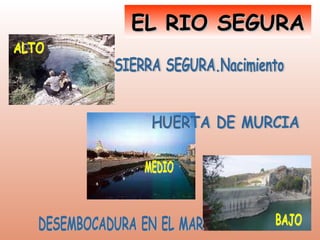 EL RIO SEGURA SIERRA SEGURA.Nacimiento  HUERTA DE MURCIA DESEMBOCADURA EN EL MAR ALTO MEDIO BAJO 