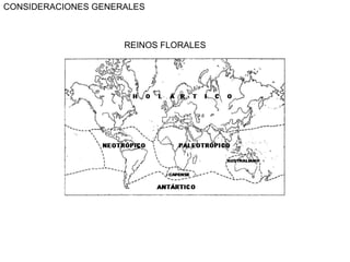 CONSIDERACIONES GENERALES REINOS FLORALES 