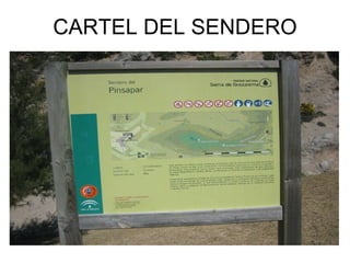 CARTEL DEL SENDERO 