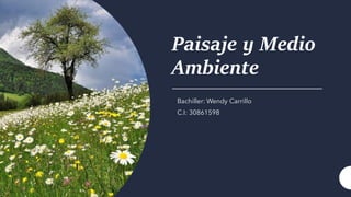Paisaje y Medio
Ambiente
Bachiller: Wendy Carrillo
C.I: 30861598
 