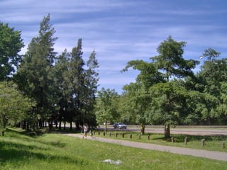 Paisaje y sustentabilidad 