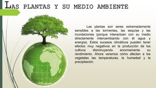 LAS PLANTAS Y SU MEDIO AMBIENTE
Las plantas son seres extremadamente
sensibles a las tormentas, las sequías y las
inundaciones (porque interactúan con su medio
directamente intercambiando con él agua y
energía). Estos sucesos climáticos pueden tener
efectos muy negativos en la producción de los
cultivos disminuyendo enormemente su
rendimiento. Ahora veremos cómo afectan a los
vegetales las temperaturas, la humedad y la
precipitación.
 