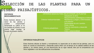 CRITERIOS BÁSICOS PARA SELECCIONAR LAS PLANTAS
Criterios medioambientales
Adaptación al clima
Requerimientos edafológicos e hídricos
Resistencia a plagas y enfermedades y
a la polución
Necesidades de sol o sombra
Criterios paisajísticos
Porte y forma
Tasa de crecimiento y desarrollo
Textura
Color y estacionalidad
CRITERIOS
MEDIOAMBIENTALES
Estos factores afectan a la
salud de las plantas y
pueden comprometer
seriamente su cultivo si no
son tenidos en cuenta, lo que
podría traer consigo el
fracaso de nuestro diseño.
SELECCIÓN DE LAS PLANTAS PARA UN
DISEÑO PAISAJÍSTICOS.
CRITERIOS PAISAJÍSTICOS
Estos factores afectan al diseño y normalmente no repercuten en la salud de las plantas, pero no
tener en cuenta el crecimiento y desarrollo podría influir con el tiempo en la calidad estética de las
plantas y, en ciertos casos, en una disminución de su vigor natural, bien por la competencia con
otros vegetales o con las edificaciones circundantes.
 