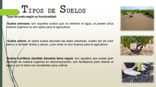 TIPOS DE SUELOS
Tipos de suelo según su funcionalidad:
-Suelos arenosos: son aquellos suelos que no retienen el agua, al poseer poca
materia orgánica no son aptos para la agricultura.
-Suelos calizos: en estos suelos abundan las sales calcáreas, suelen ser de color
blanco y también áridos y secos, y por ende no son buenos para la agricultura.
-Suelos humíferos (también llamados tierra negra): son aquellos que posee gran
cantidad de materia orgánica en descomposición, son fantásticos para retener el
agua y por lo tanto son excelentes para cultivar.
 