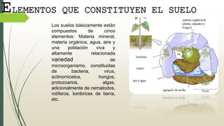 Los suelos básicamente están
compuestos de cinco
elementos: Materia mineral,
materia orgánica, agua, aire y
una población viva y
altamente relacionada
variedad de
microorganismo, constituidas
de bacteria, virus,
actinomicetos, hongos,
protozoarios, algas,
adicionalmente de nematodos,
rotíferos, lombrices de tierra,
etc.
ELEMENTOS QUE CONSTITUYEN EL SUELO
 