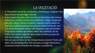 LA VEGETACIÓ
• A l'hemisferi nord les condicións climàtiques originen dos
tipus bàsics de paisatge natural:
• A les zones situades més al nord, on els estius són menys
calorosos, s'estén al bosc de coníferes o taiga, integrada
per pins, abets, làrxis o bedolls. Aquests abres reben el
nom de coníferes perquè les pinyes tenen forma de con.
• Les arrels d'aquests arbres són llargues i poc profundes.
D'aquesta manera aprofiten millor els nutrients de les
fulles i les restes vegetals que cauen al terre, ja que els
sòls de la taiga són pobres.
• Més al sud, en llocs on les temperatures durant l'estiu són
altes i les precipitacións són escases, la taiga dóna pas a
extenses zones d'herba: les estepes o praderies.
 